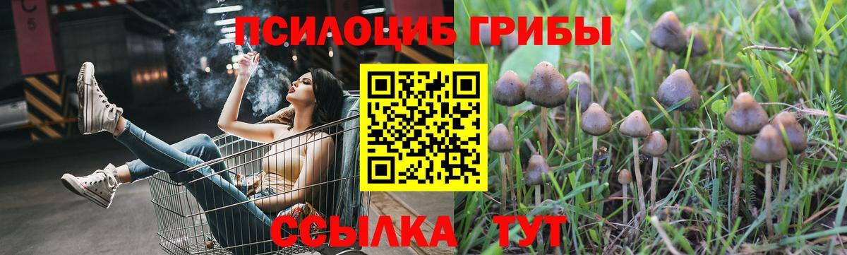 Псилоцибиновые грибы прущие грибы Ялта